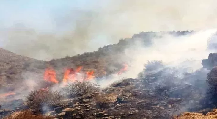 احتمال عمدی بودن آتش سوزی باشت