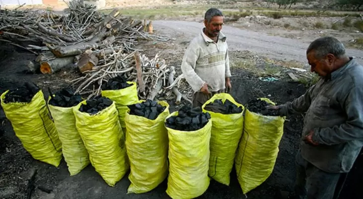 وقتی دارایی «زاگرس» دود می شود!