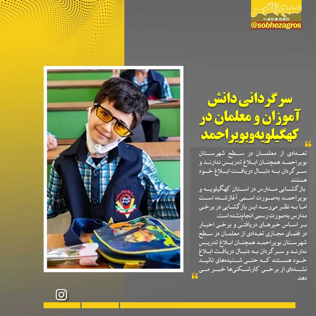 داستانی تکراری به نام سگ های ولگرد