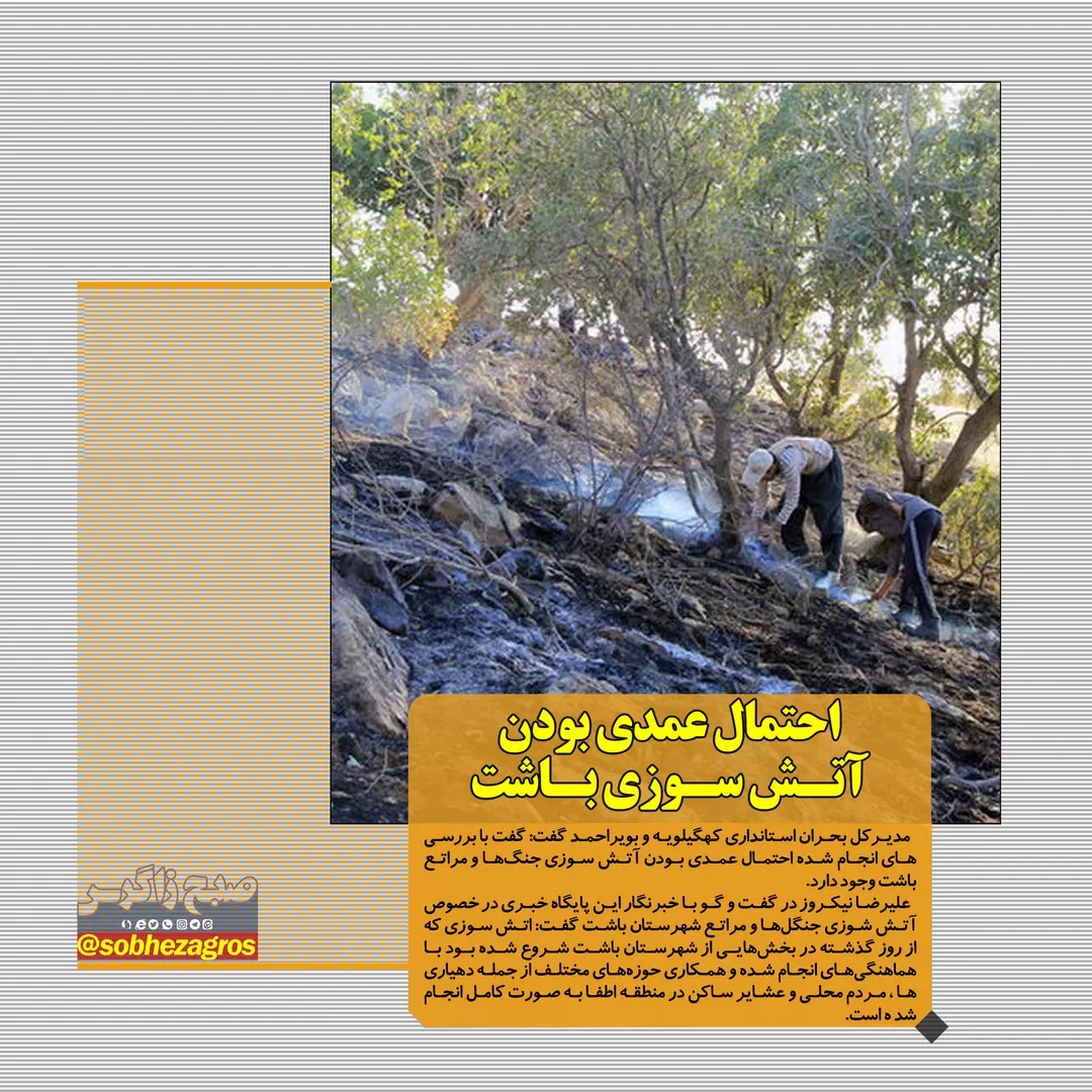 داستانی تکراری به نام سگ های ولگرد