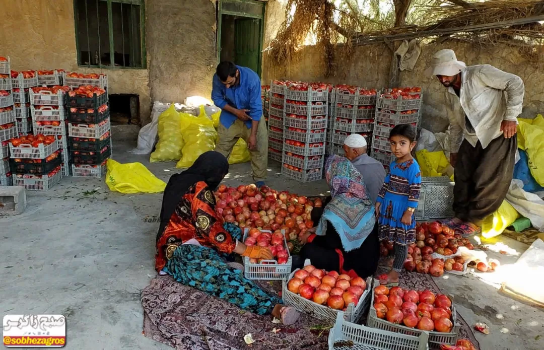 اِسپَر؛ سرزمین یاقوت های سرخ درگچساران