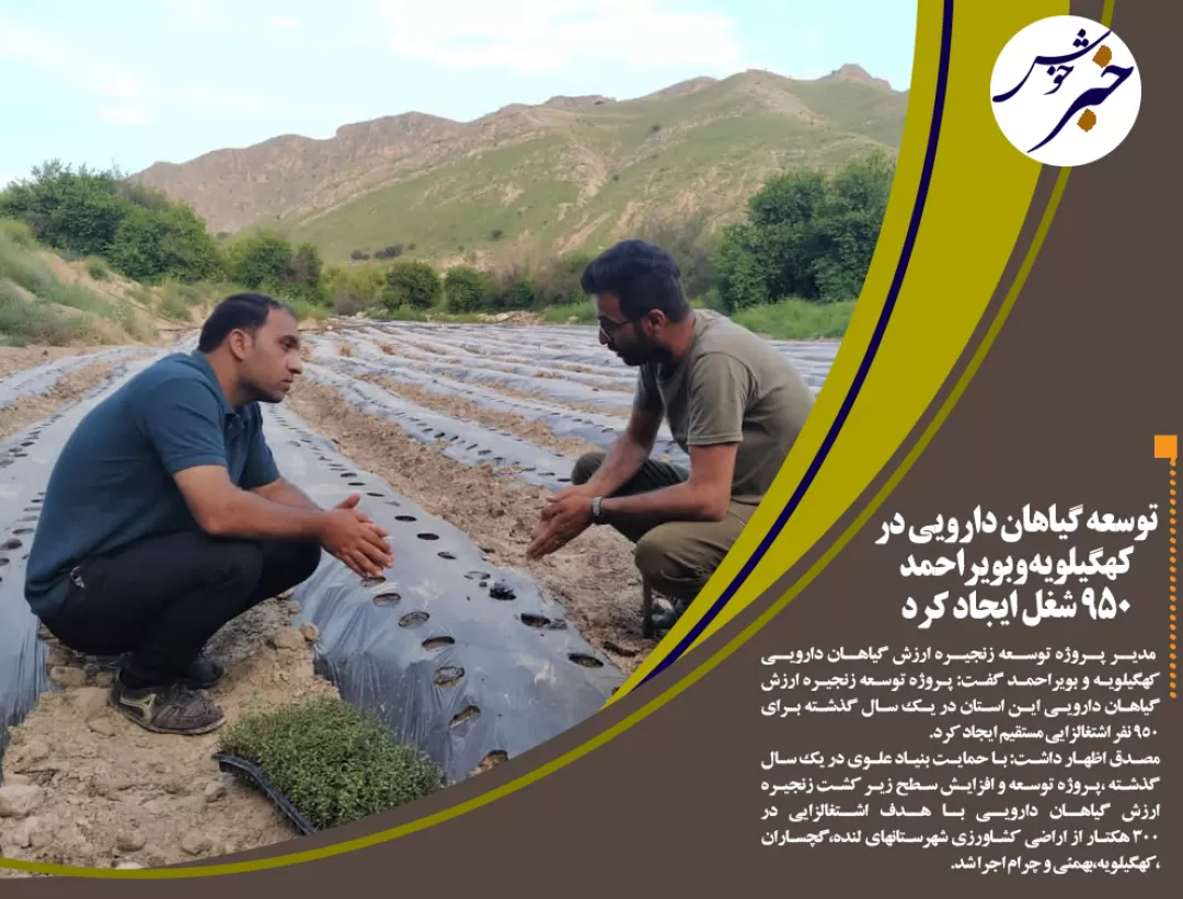 اشتغالزایی 950نفر باتوسعه گیاهان دارویی در استان