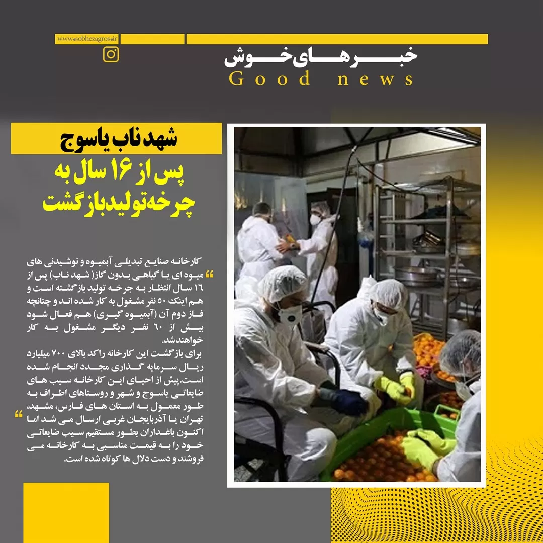 بازگشت یک کارخانه حیاتی پس از ۱۶سال