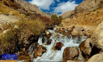 رخت سفید زمستانی بر قامت بلند دنا