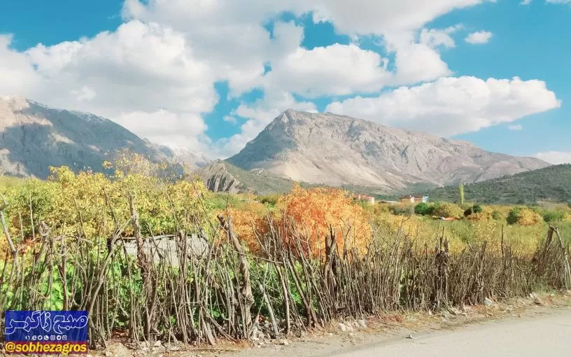 پاییز هزار رنگ سرزمین افسانه‌ای سی‌سخت