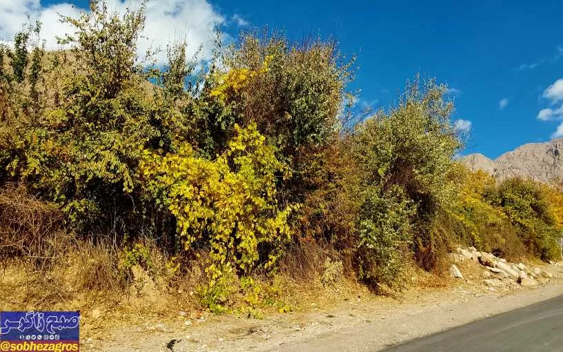 پاییز هزار رنگ سرزمین افسانه‌ای سی‌سخت