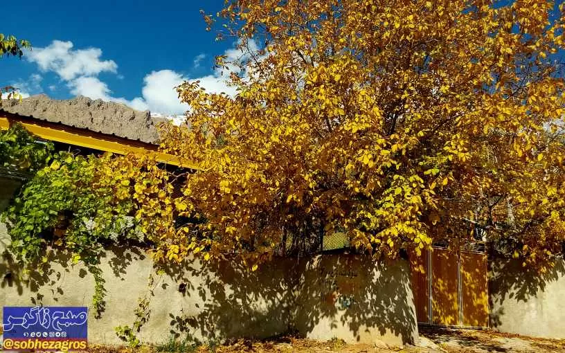 پاییز هزار رنگ سرزمین افسانه‌ای سی‌سخت