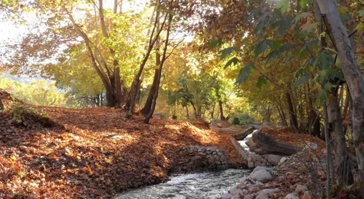 رخ‌نمایی پاییز در تنگ زیبای گنجه‌ای بویراحمد+ فیلم