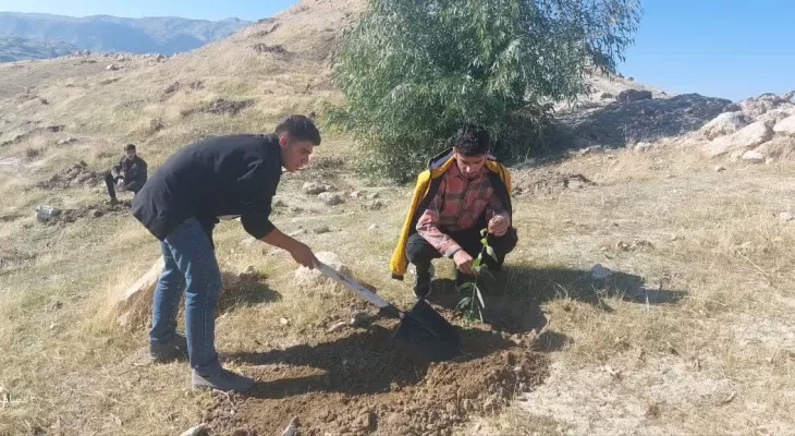 غرس نهال در۶هکتار از منابع طبیعی لنده