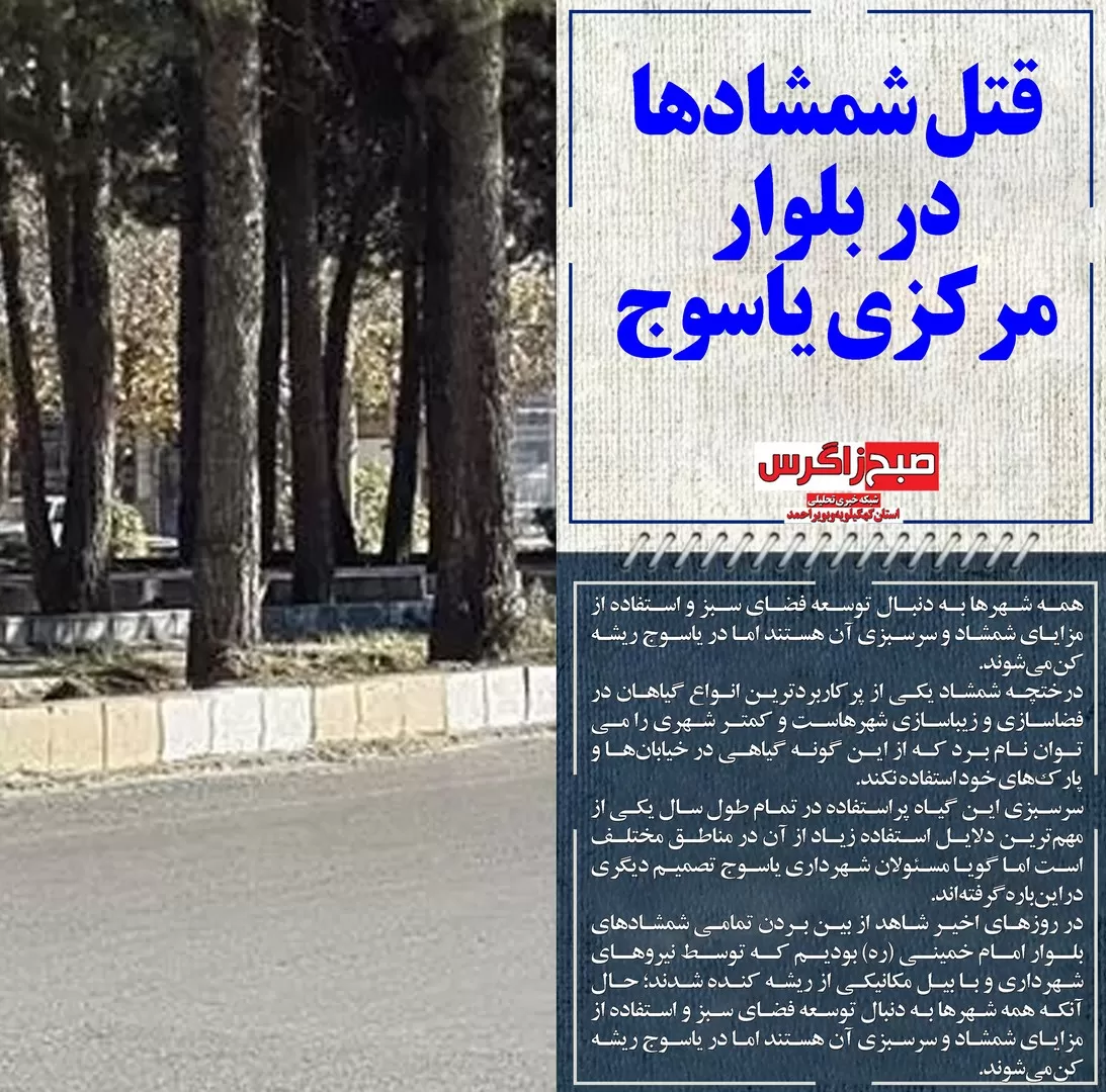 ماجرای قتل شمشادهای بلوار مرکزی یاسوج