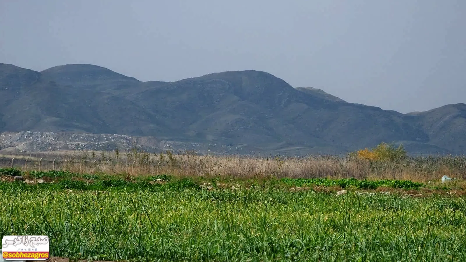 طبیعت پس از باران در گچساران