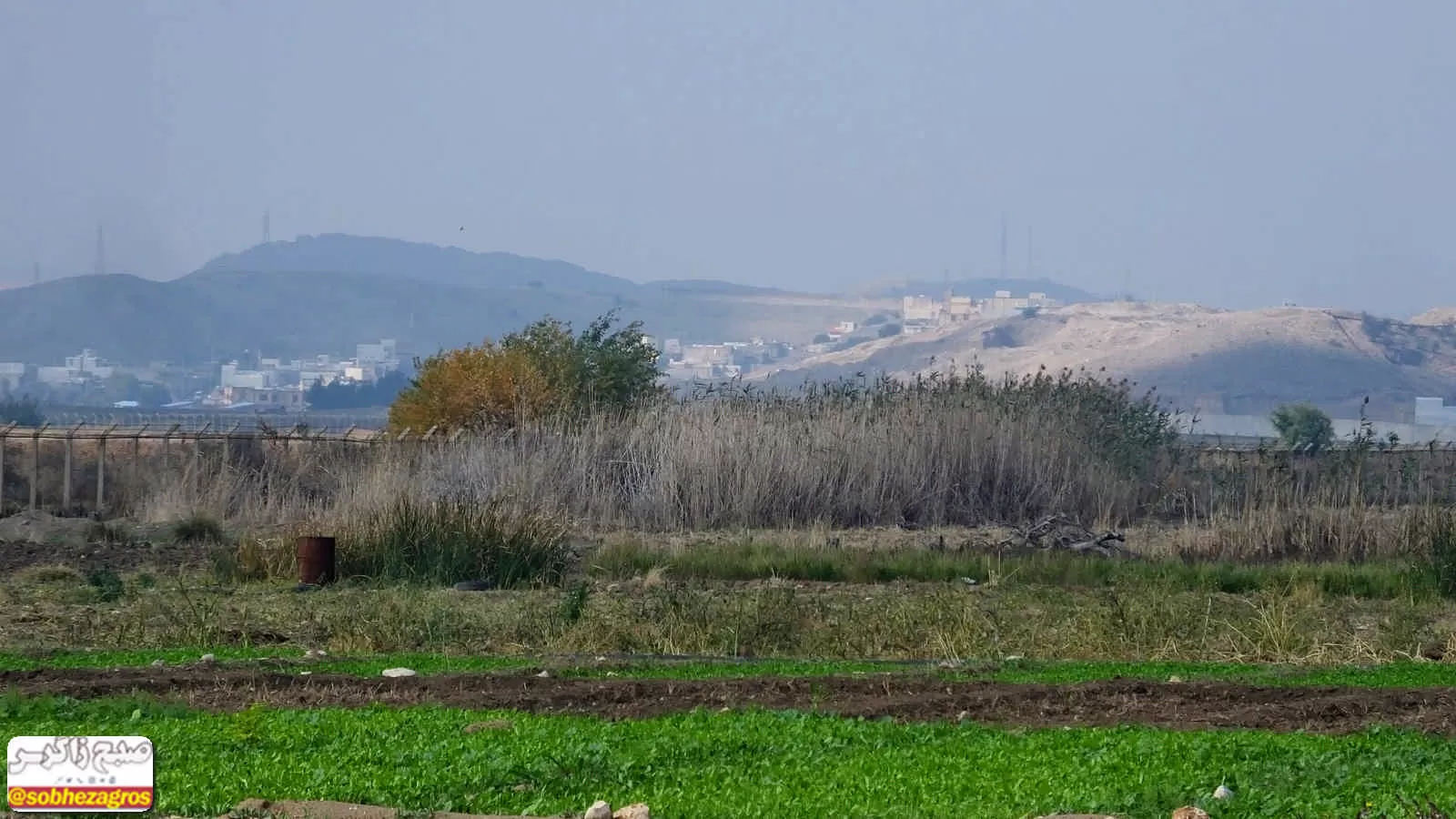 طبیعت پس از باران در گچساران