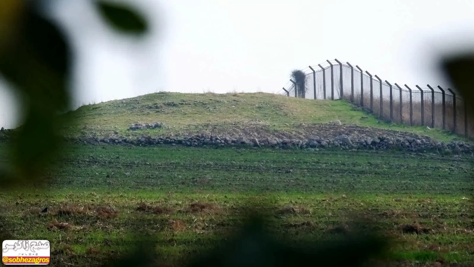 طبیعت پس از باران در گچساران