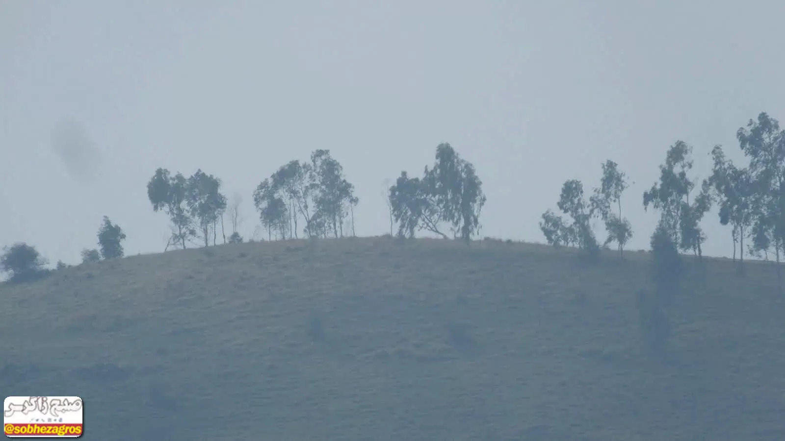 طبیعت پس از باران در گچساران