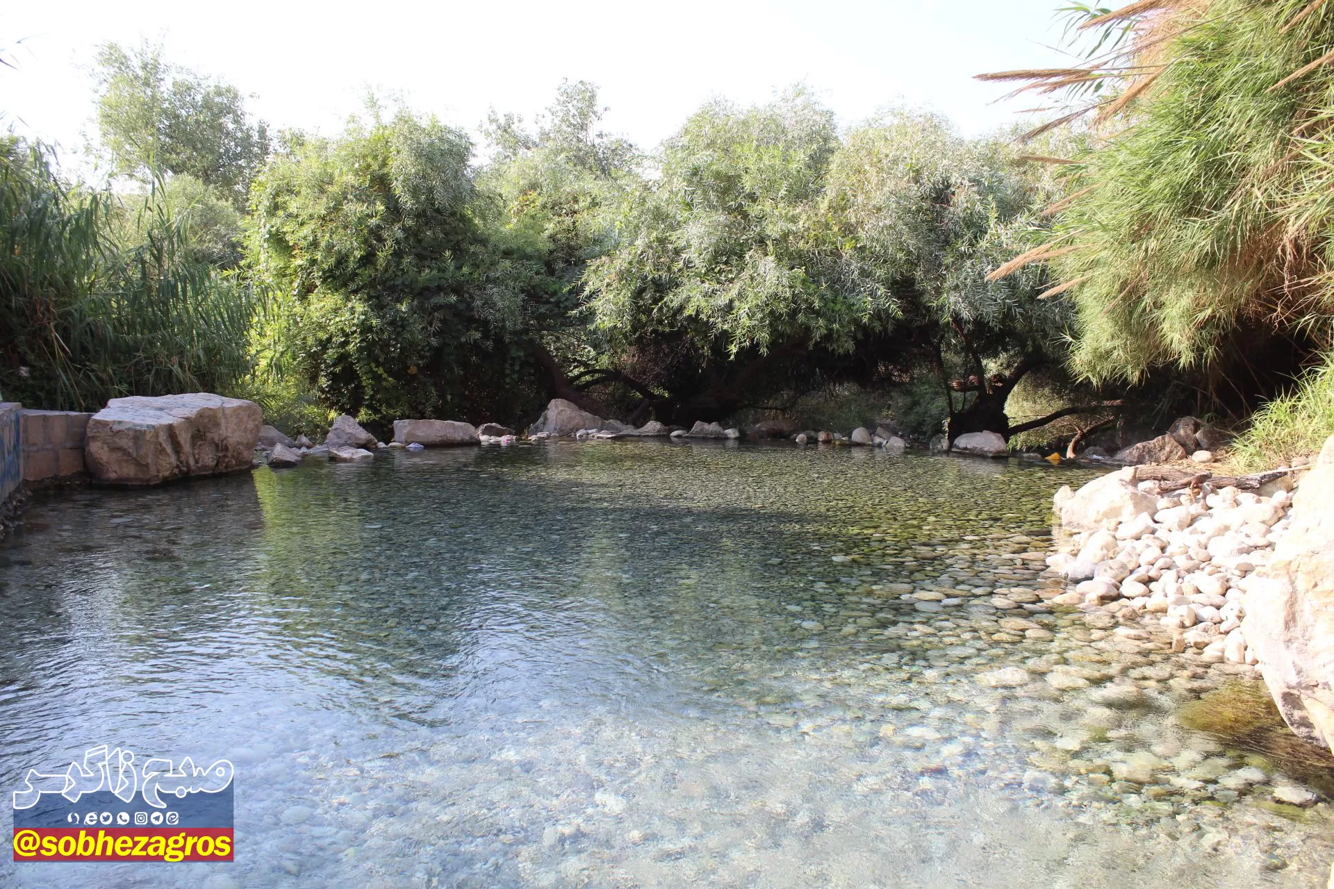 چشمه انجیری بهشتی رویایی در تابستان