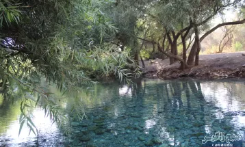 چشمه انجیری بهشتی رویایی در تابستان