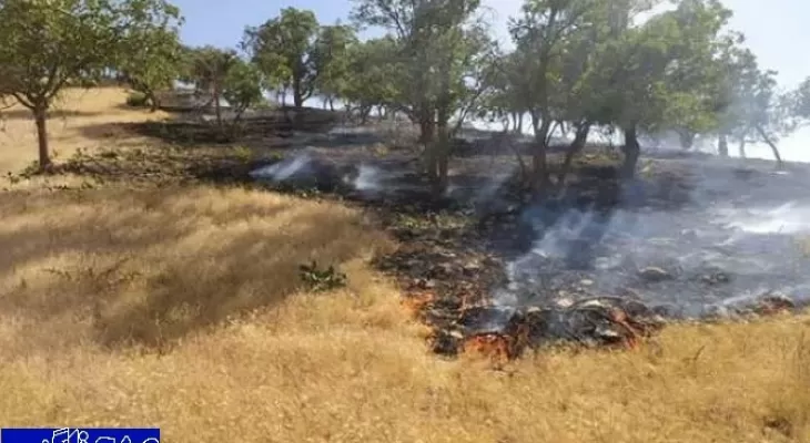 آتش‌سوزی در جنگل‌های بلوط بهرام‌بیگی دنا+ تصاویر