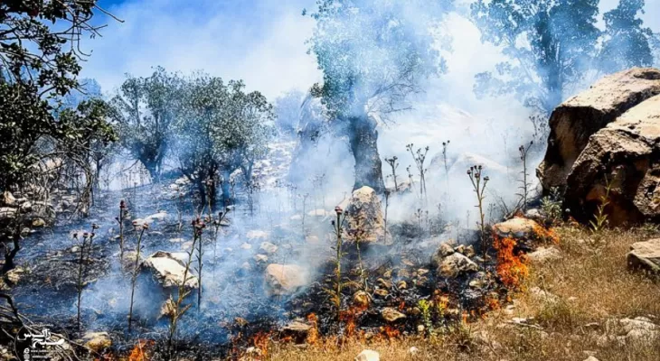 اشک‌هایی که توان خاموش کردن آتش را ندارند!