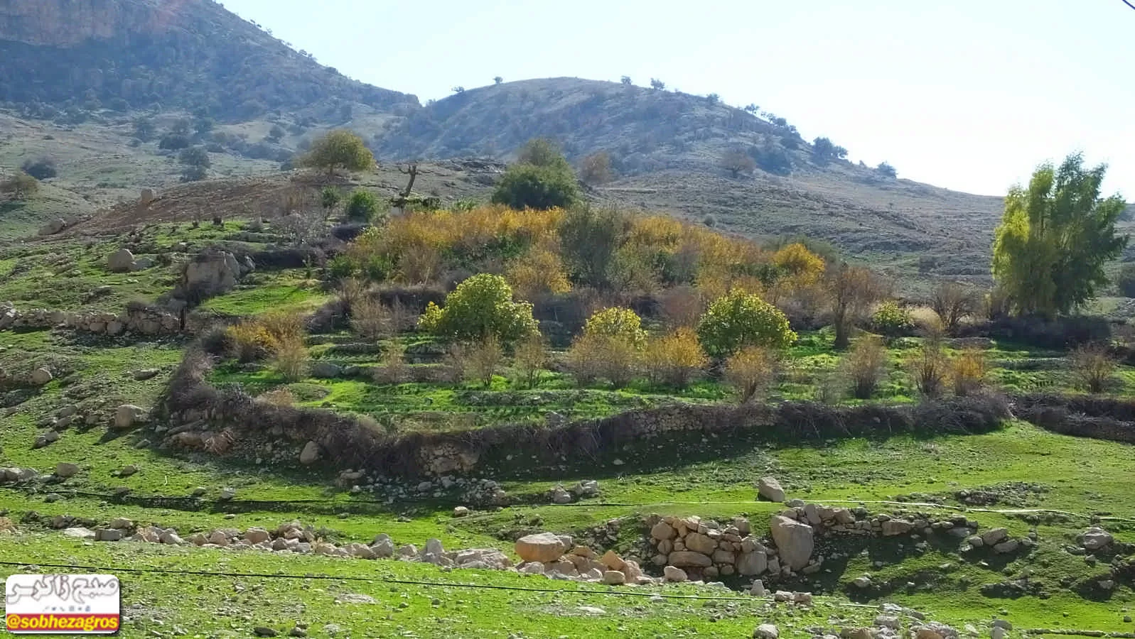 هنر تمام‌نمای طبیعت در دهستان امامزاده جعفر گچساران