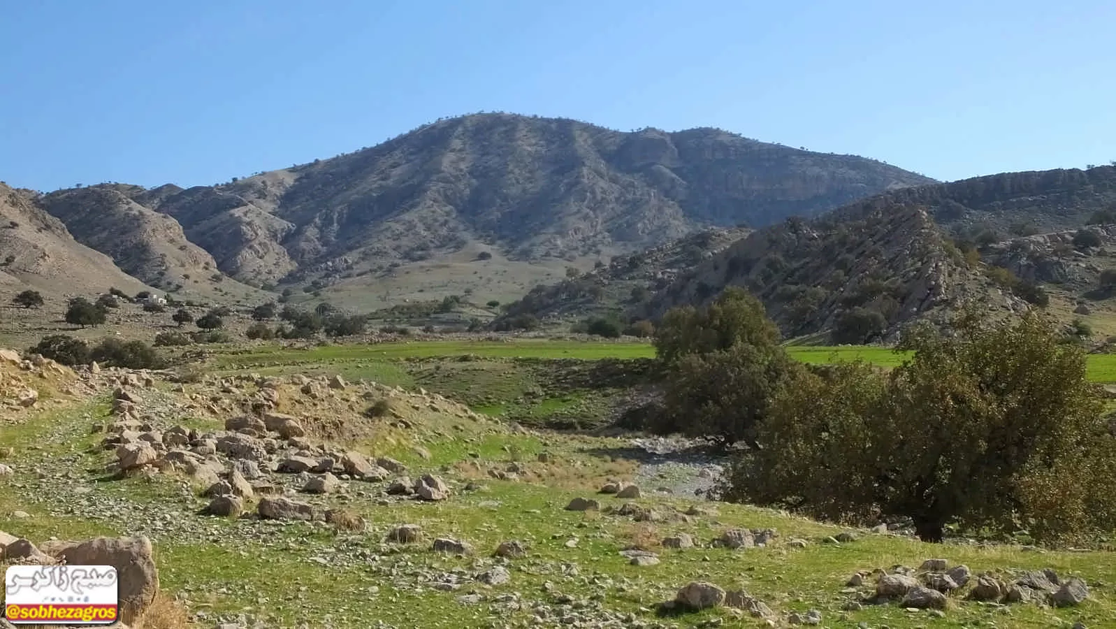 هنر تمام‌نمای طبیعت در دهستان امامزاده جعفر گچساران