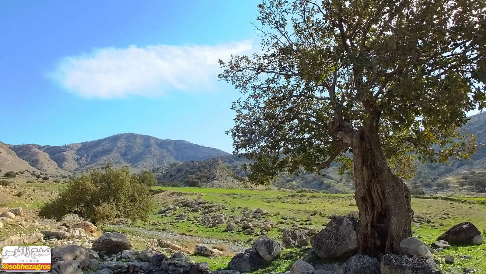 هنر تمام‌نمای طبیعت در دهستان امامزاده جعفر گچساران