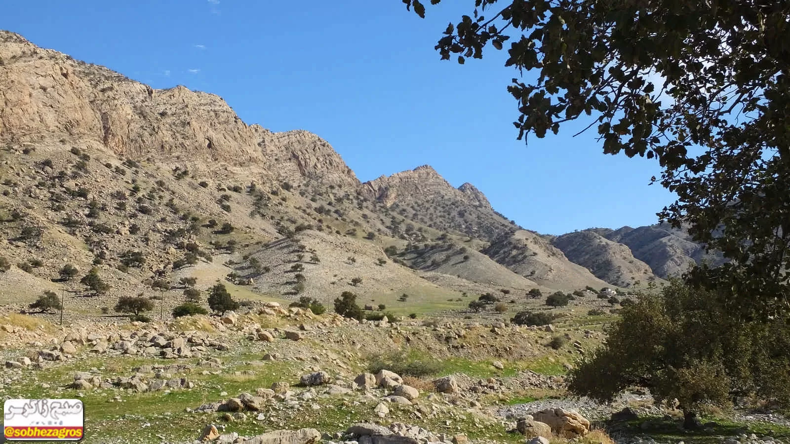 هنر تمام‌نمای طبیعت در دهستان امامزاده جعفر گچساران