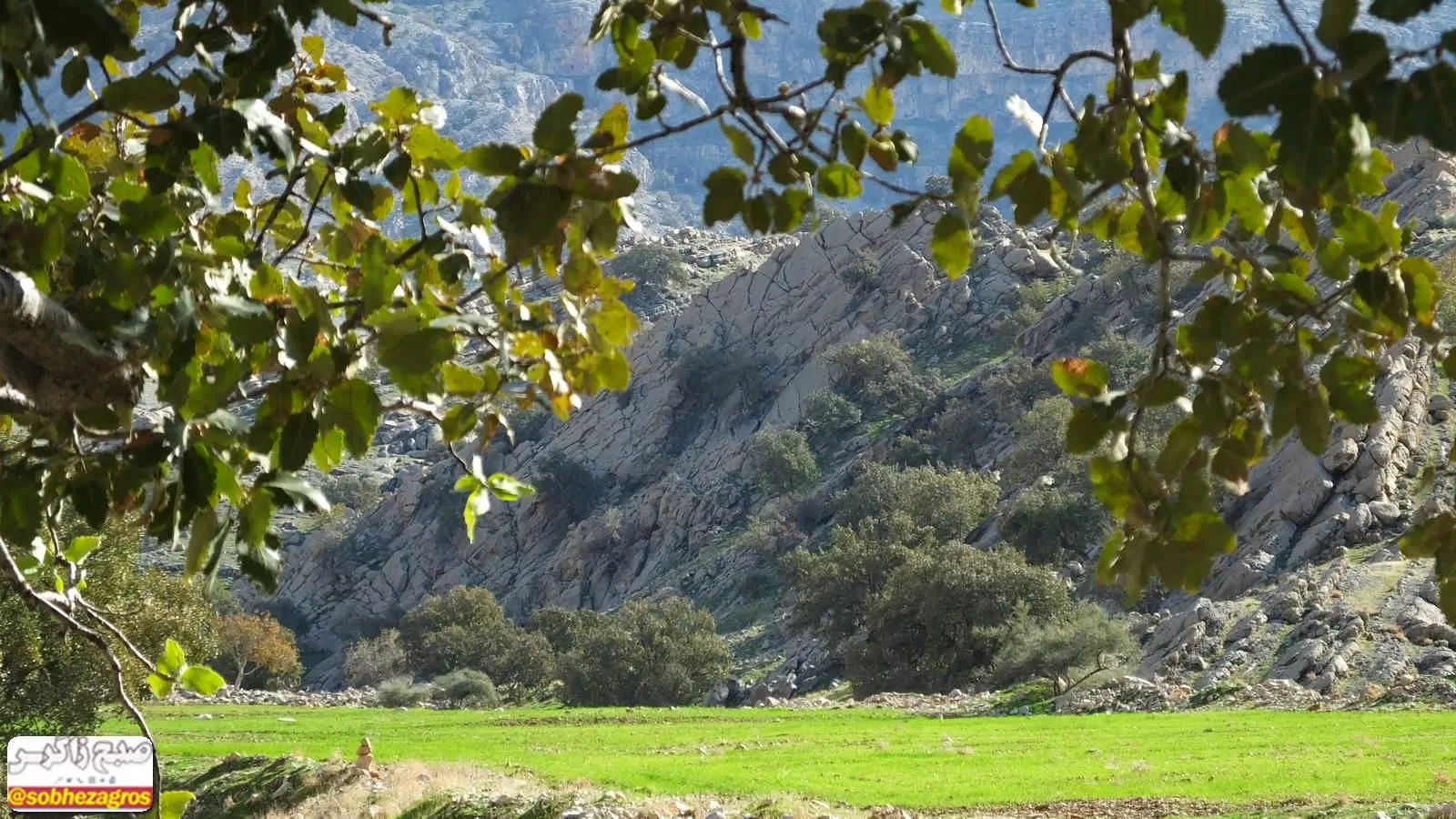 هنر تمام‌نمای طبیعت در دهستان امامزاده جعفر گچساران