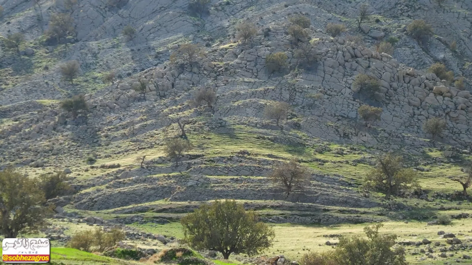 هنر تمام‌نمای طبیعت در دهستان امامزاده جعفر گچساران