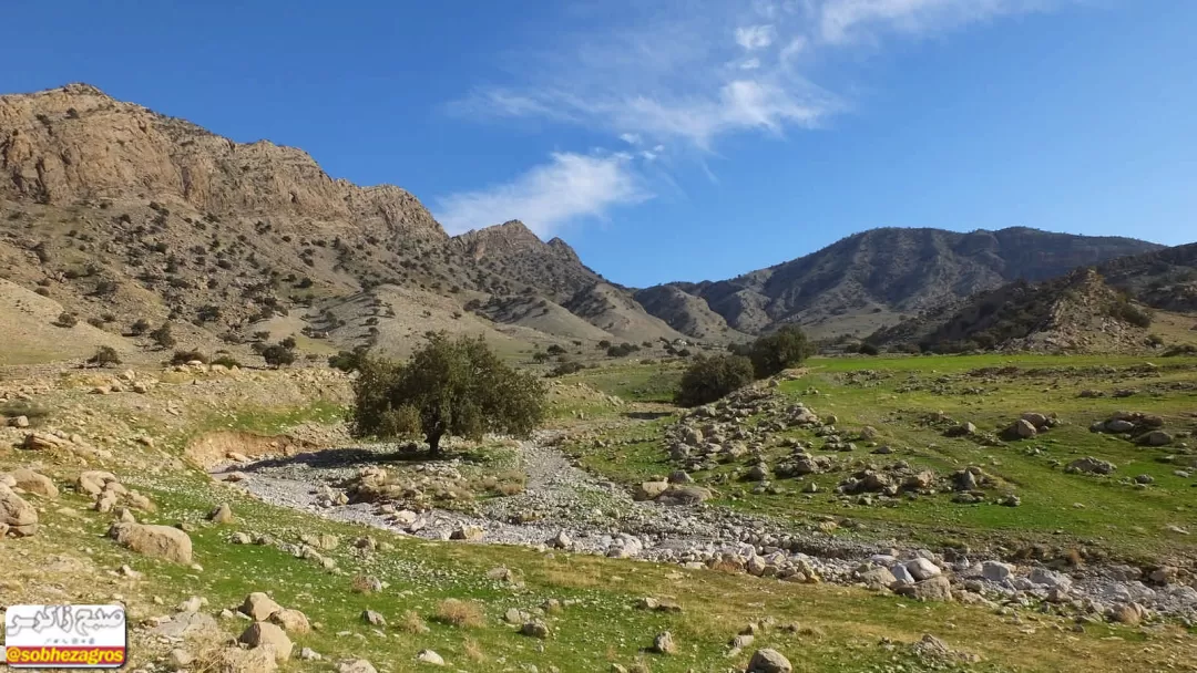 هنر تمام‌نمای طبیعت در دهستان امامزاده جعفر گچساران