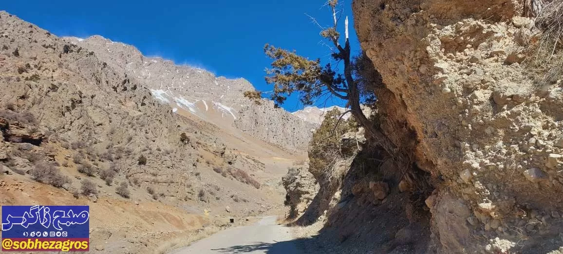 تصاویری از زمستان کم‌سابقه و کم‌برف کوه دنا