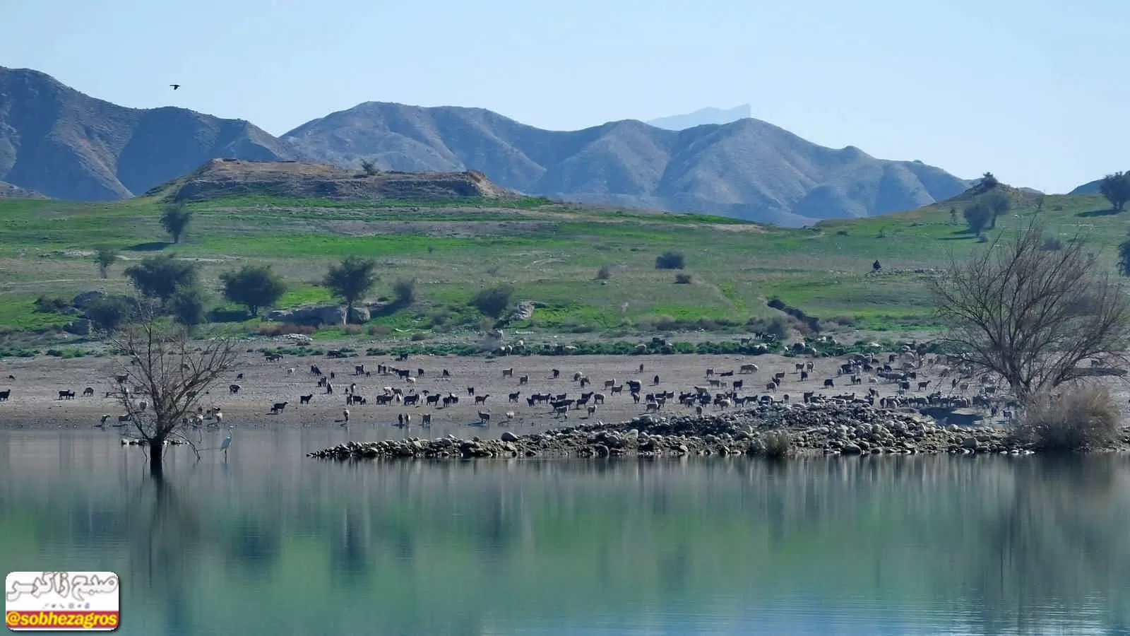 دریاچه زیبای سد «چم شیر» در گچساران+ تصاویر