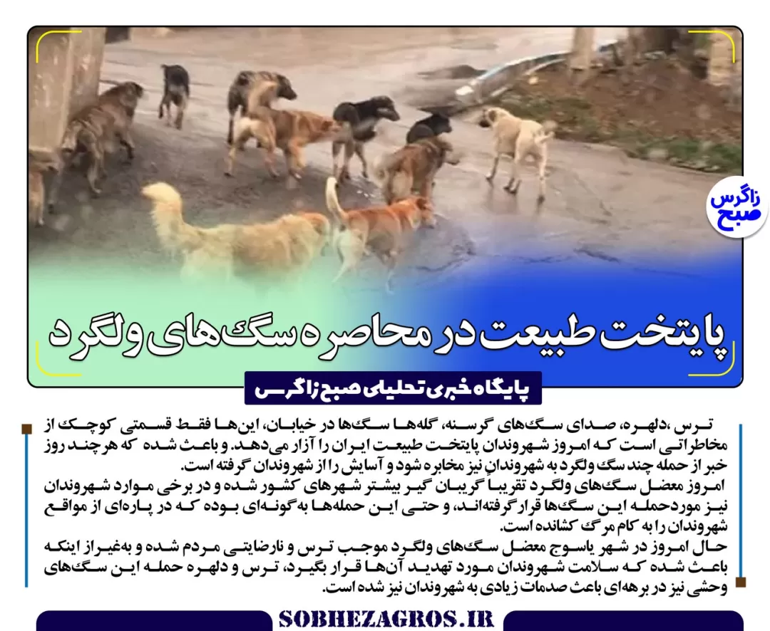 آخرین نفس‌های بلوط‌های کهنسال زاگرس