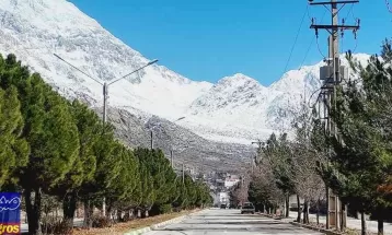 دنای سفید‌پوش پس از بارش برف زمستانی