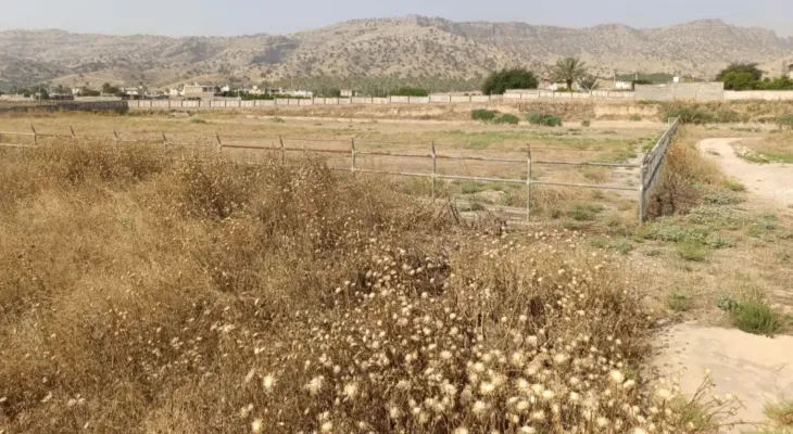 چمن مصنوعی بوستان؛ محل رویش خار و خاشاک