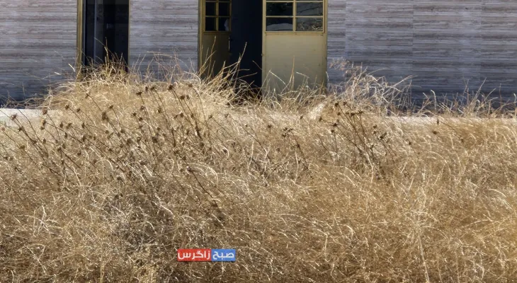 ساختمان هلال‌احمر باشت در محاصره خار و خاشاک