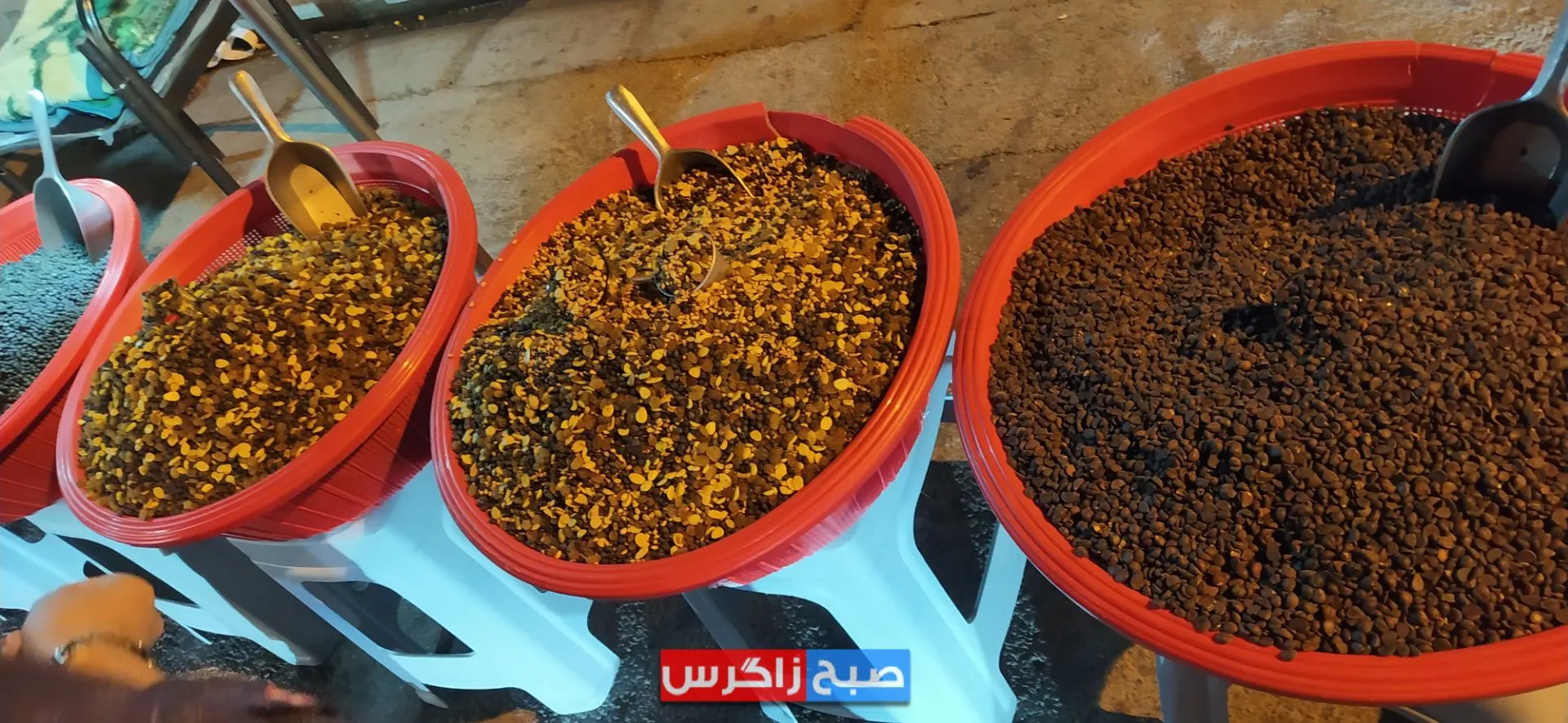 ناصرخسروی یاسوج کجاست؟