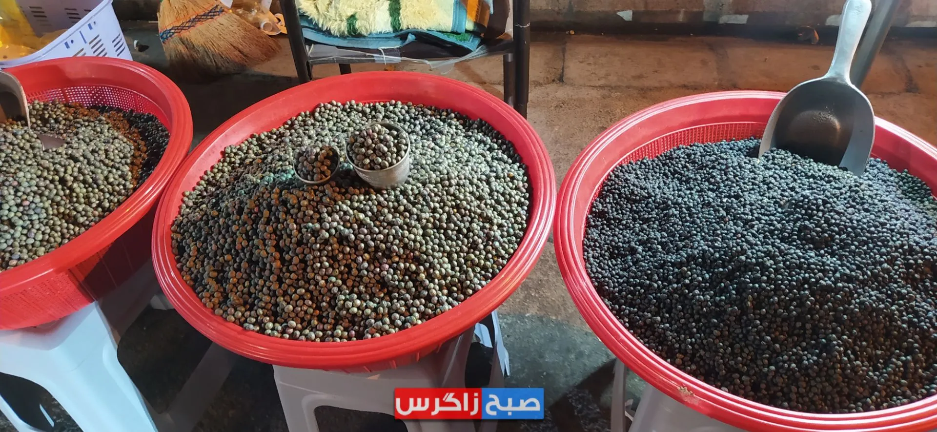 ناصرخسروی یاسوج کجاست؟