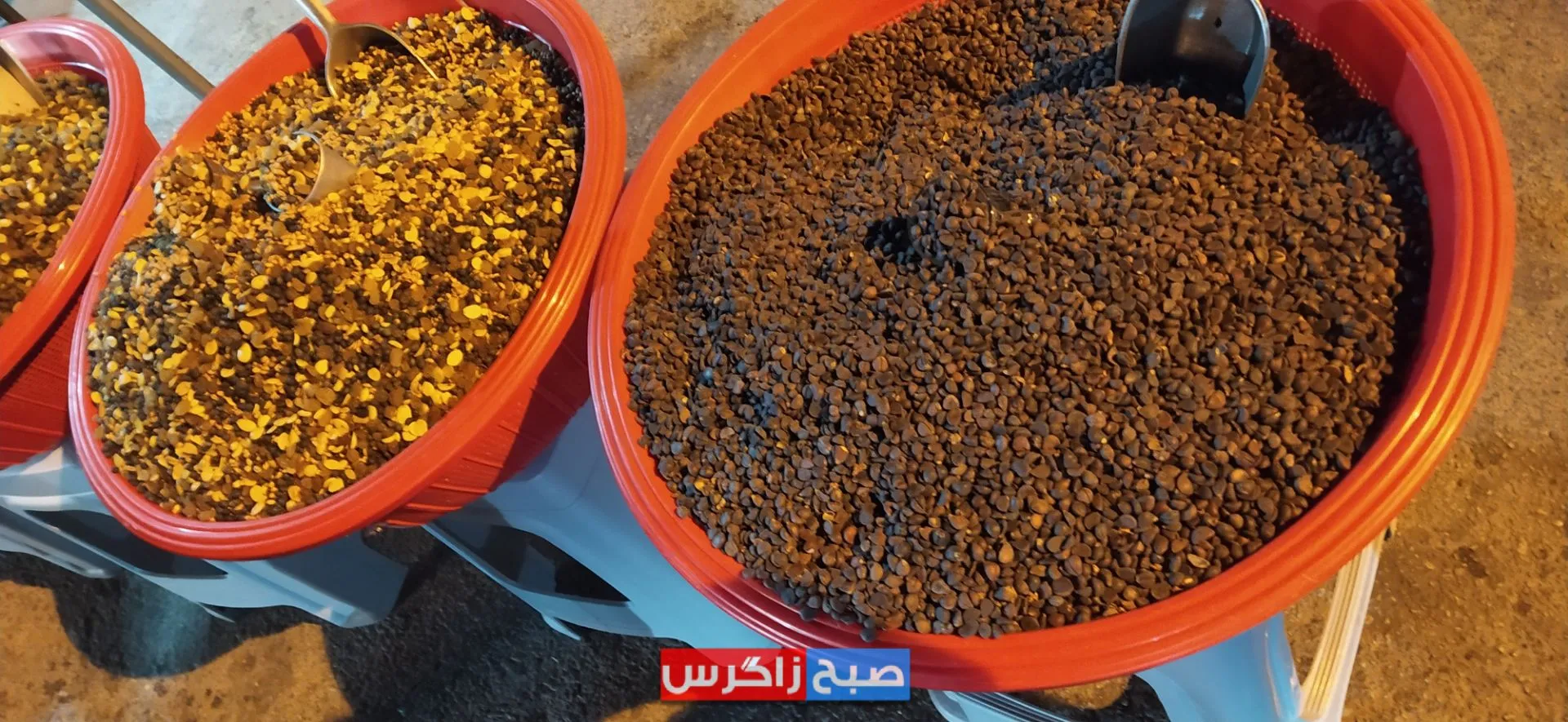 ناصرخسروی یاسوج کجاست؟