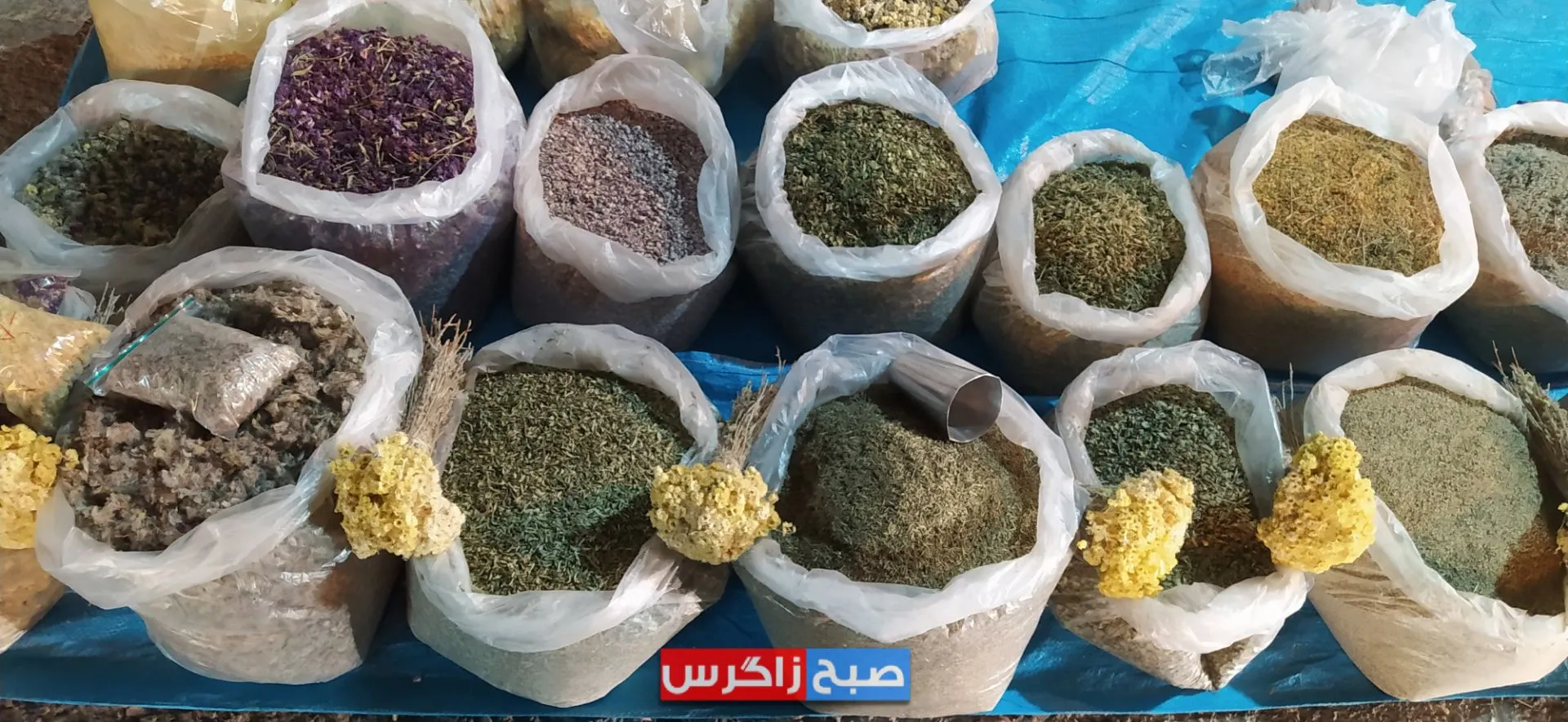 ناصرخسروی یاسوج کجاست؟