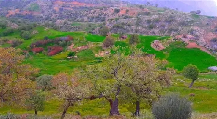 دومین شهرستان نفت‌خیز کهگیلویه‌وبویراحمد چشم‌انتظار همت مسئولان