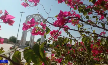 یادمان«شهدای گمنام بهمئی»در قاب تصویر