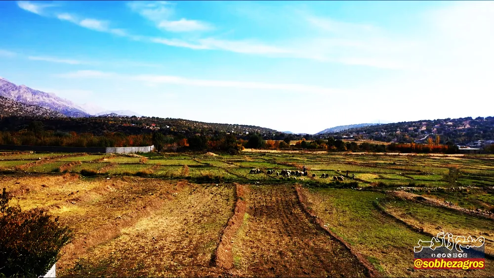 نقاشی زیبای پائیز در روستای توریستی کریک