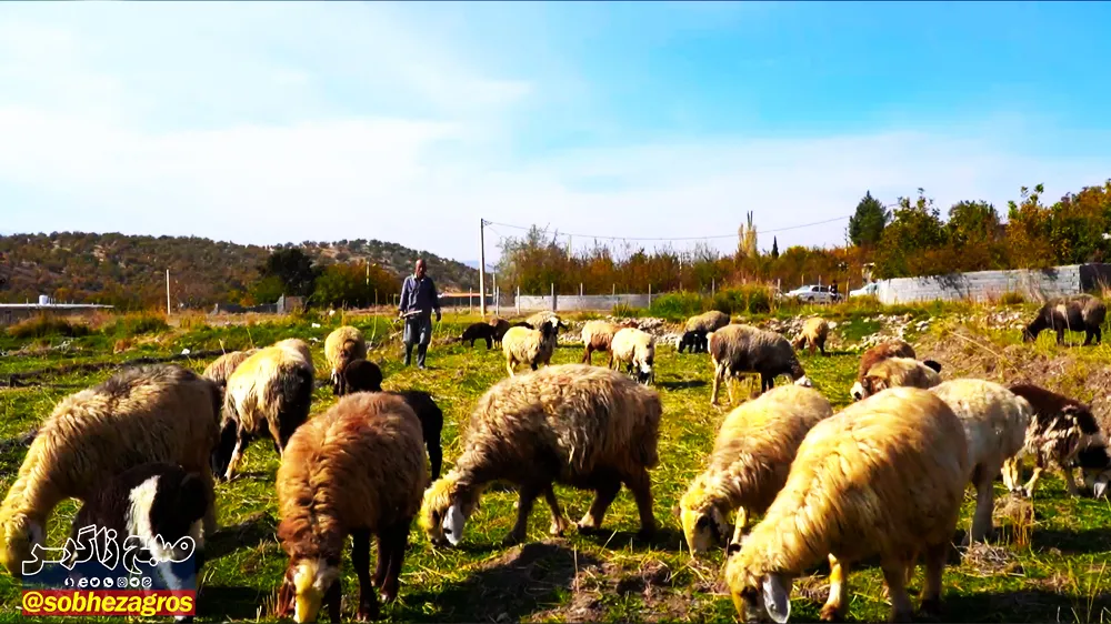 نقاشی زیبای پائیز در روستای توریستی کریک