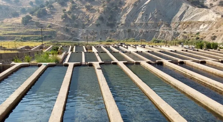 صادرات ۵۰۰ تنی ماهی قزل‌آلای لنده به روسیه