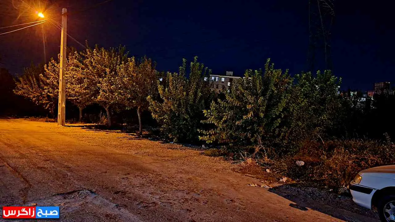 ایجاد «جنگل وحشت» در بالا شهر گچساران+ تصاویر