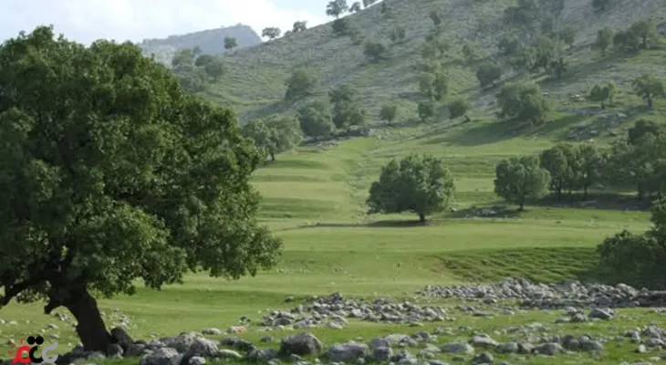 روستای «لار» شهرستان باشت در انتظار مسئولان