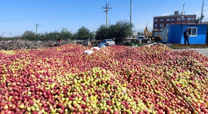 صنایع تبدیلی سی‌سخت در انتظار سرمایه گذار