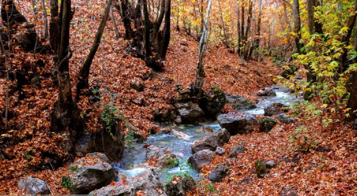 رنگین کمان رنگ‌ها در پاییز تنگ گنجه‌ای بویراحمد