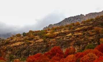 رنگین کمان رنگ‌ها در پاییز تنگ گنجه‌ای بویراحمد