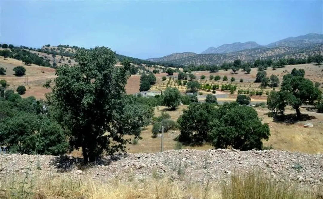 پدیده شوم زمین‌خواری در سرزمین دنا